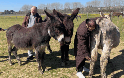 INCONTRI speciali con gli asini: il progetto di onoterapia de L’Arca 1 Onlus al Donkey Resort