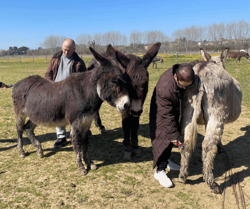 INCONTRI speciali con gli asini: il progetto di onoterapia de L’Arca 1 Onlus al Donkey Resort